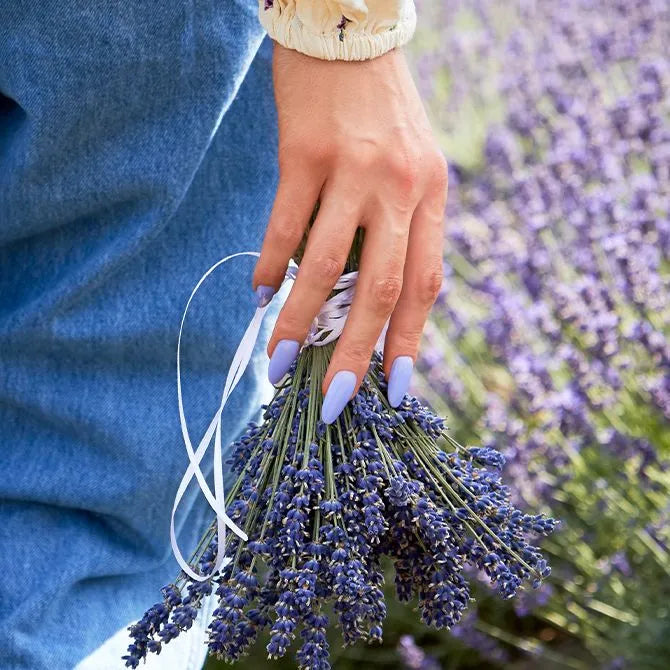 Dream of Provence - Lavendelkleurige gellak - Voorbeeld op nagels