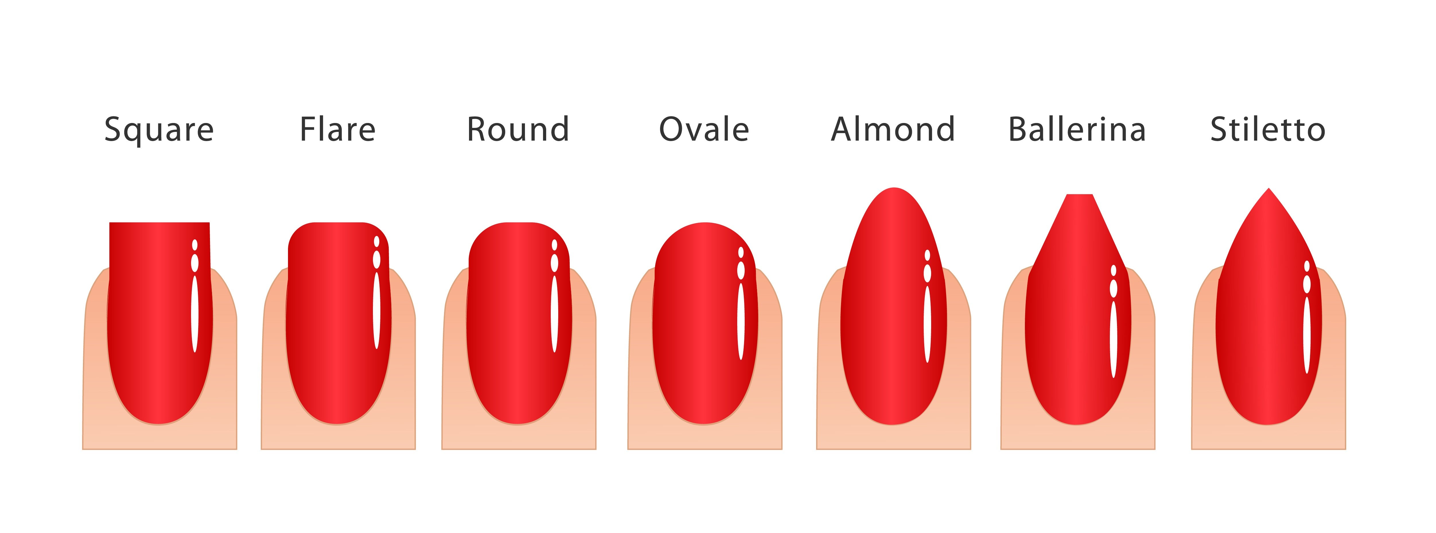 Guide des formes d'ongles : Découvrez la meilleure forme pour vos ongles – NailSkillz