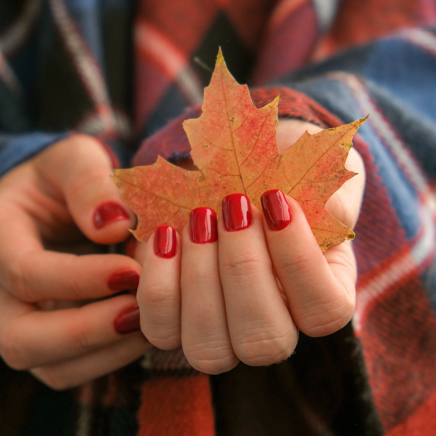 Herfst nagel inspiratie