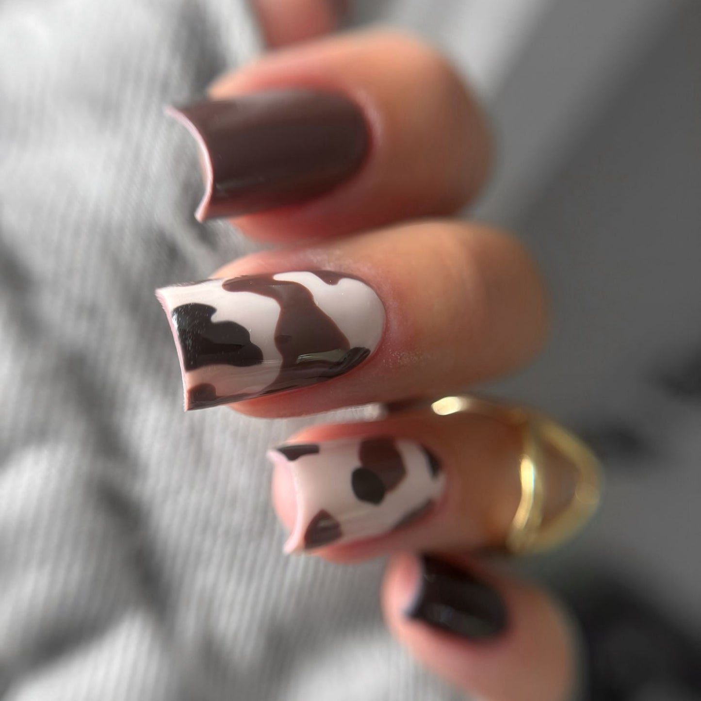 Holy Cow