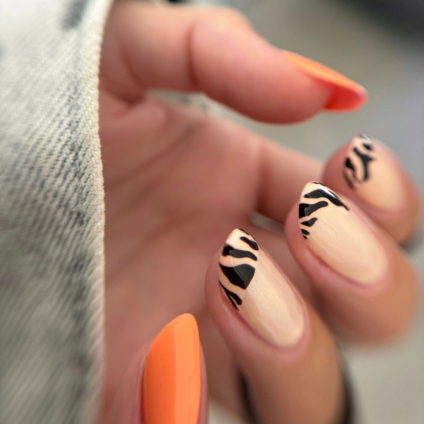 Zebra Blaze