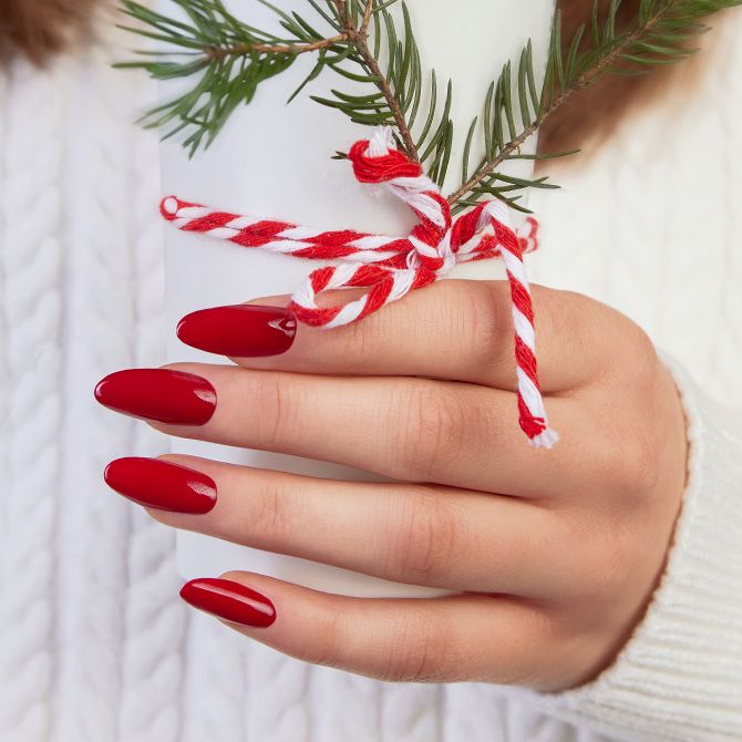 CHRISTMAS SHREW