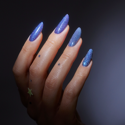 Winter Stardust Collectie