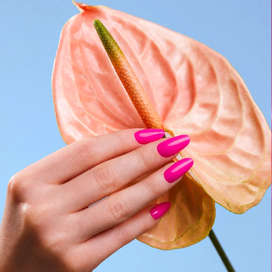 Neon Obsession Collection