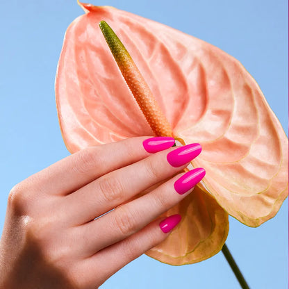 Neon Obsession Collection