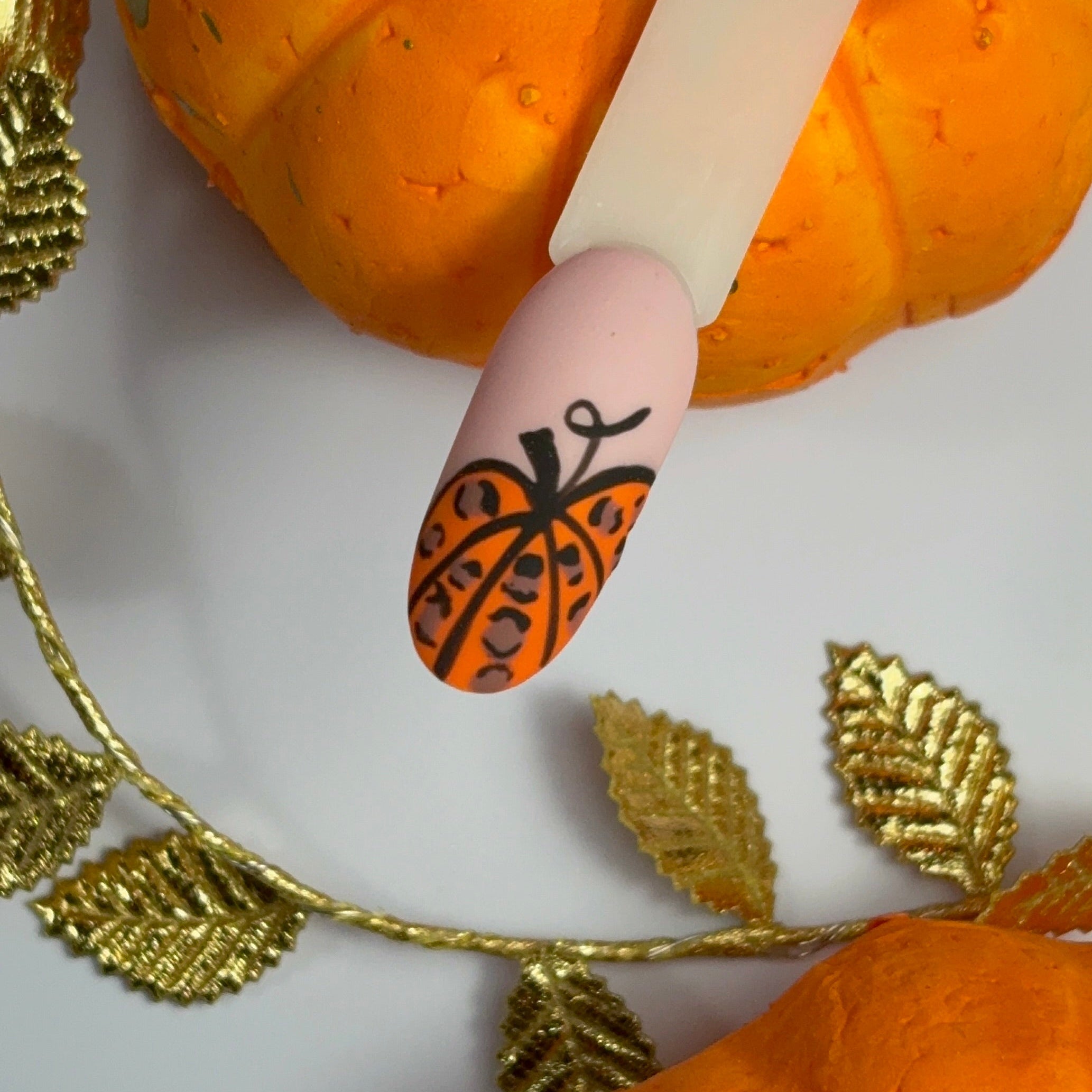 Pumpkin Night