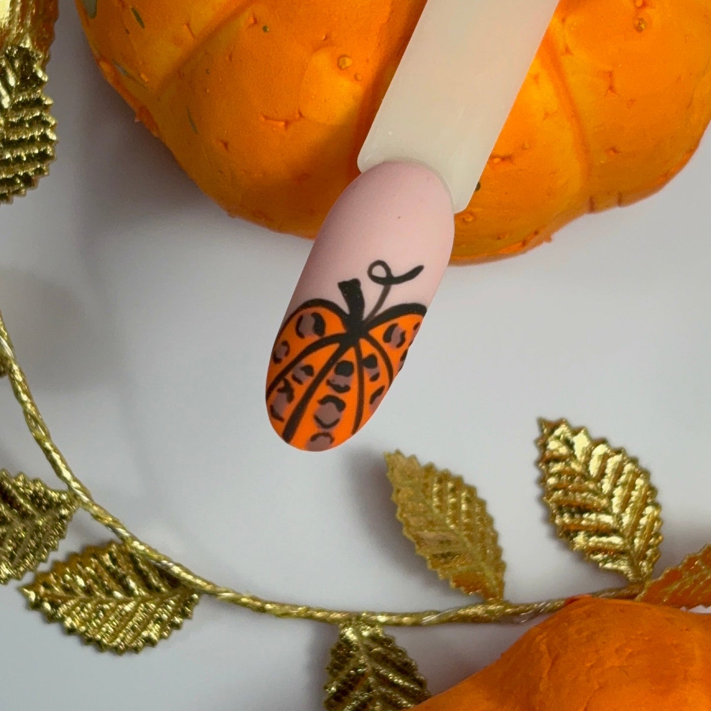 Pumpkin Night