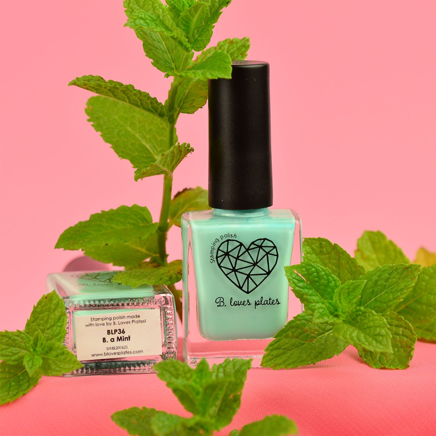 Vernis à tamponner vert menthe - Menthe