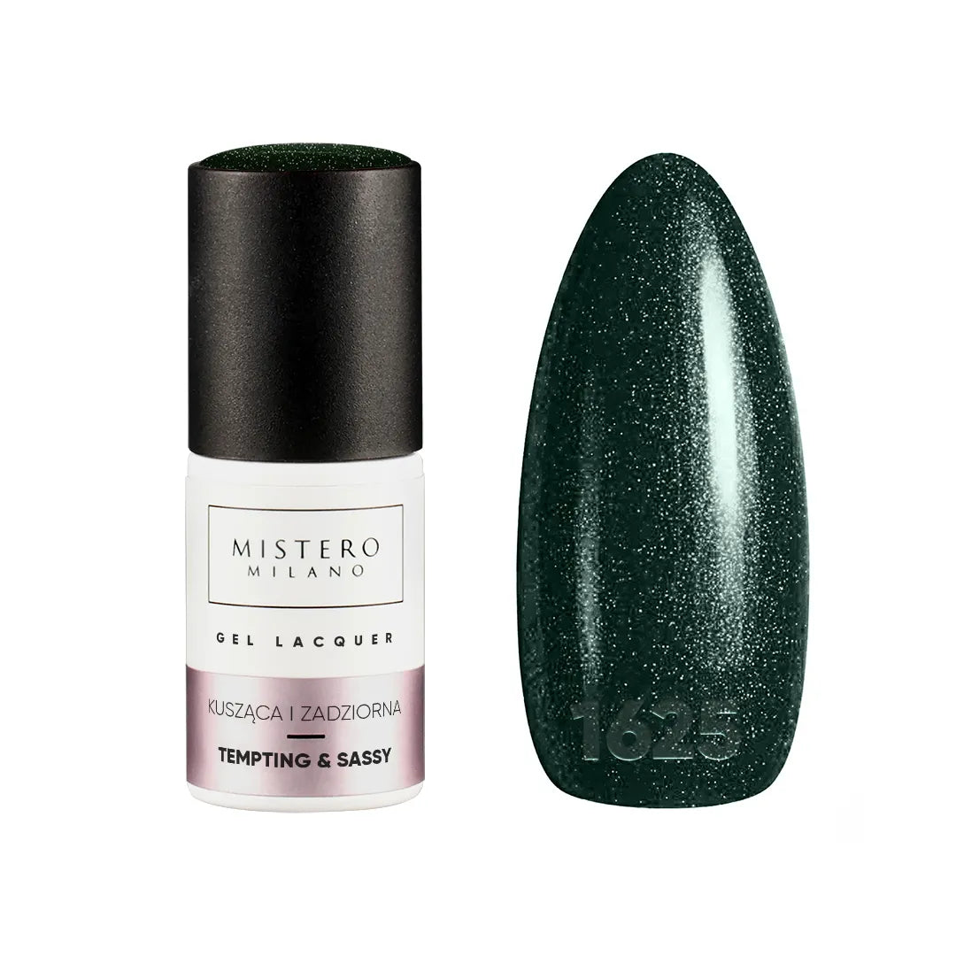 X-must have! Collectie