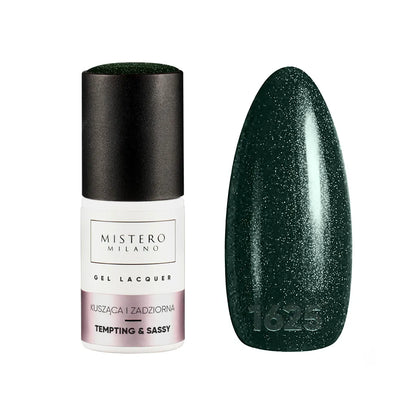 X-must have! Collectie