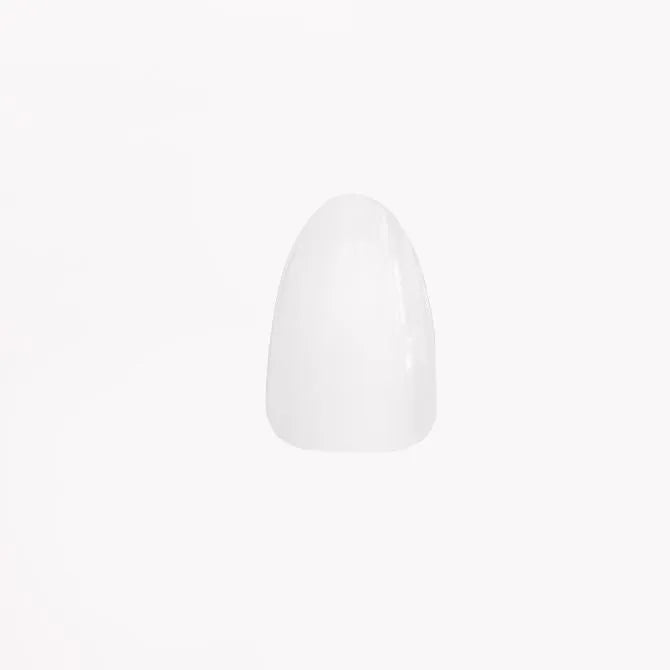 Tip Up - OVALE