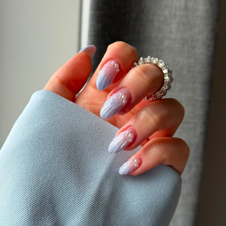 Ocean Shells
