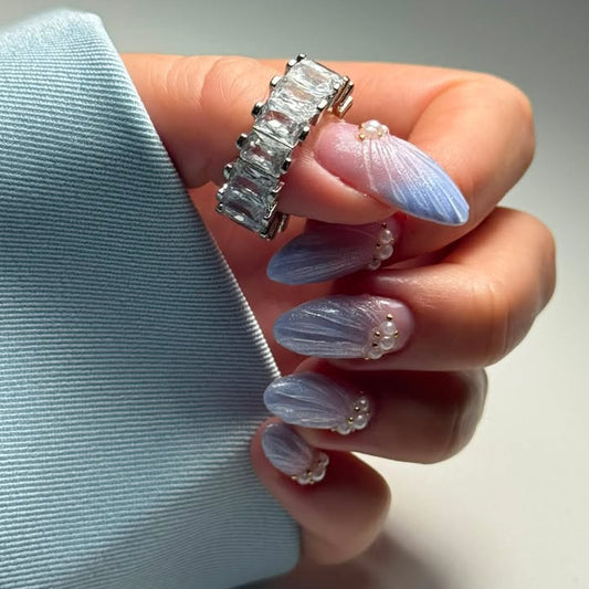 Ocean Shells