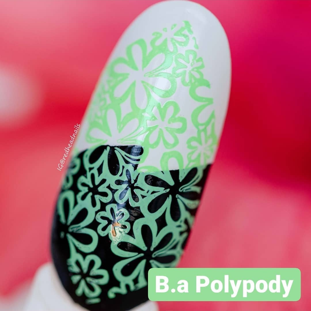 Vernis à tamponner vert - Polypody