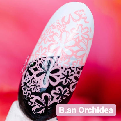 Stamping polish pink - An Orchidea